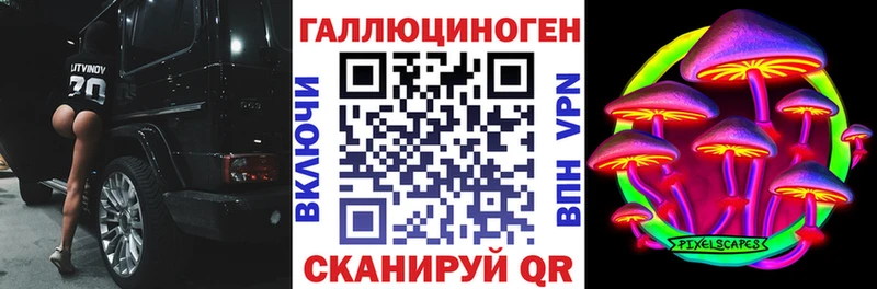 Галлюциногенные грибы Psilocybine cubensis  Нестеров 